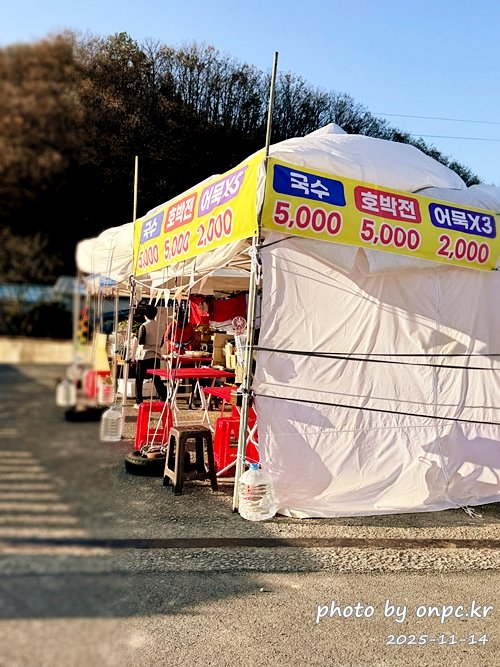 🍂 노랗게 물든 경주 도리마을 은행나무숲 나들이