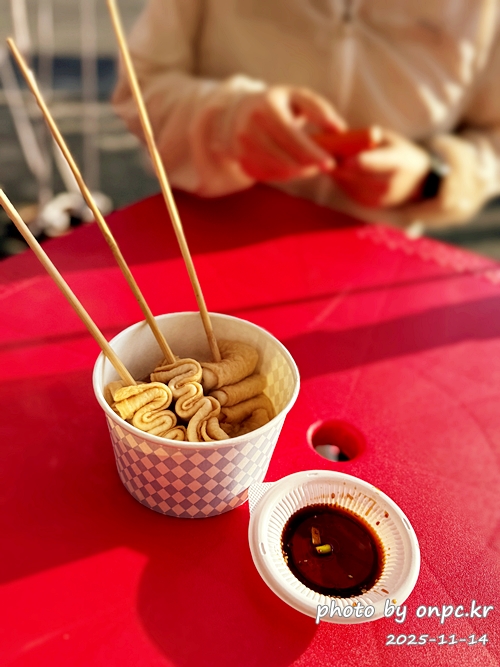 🍂 노랗게 물든 경주 도리마을 은행나무숲 나들이