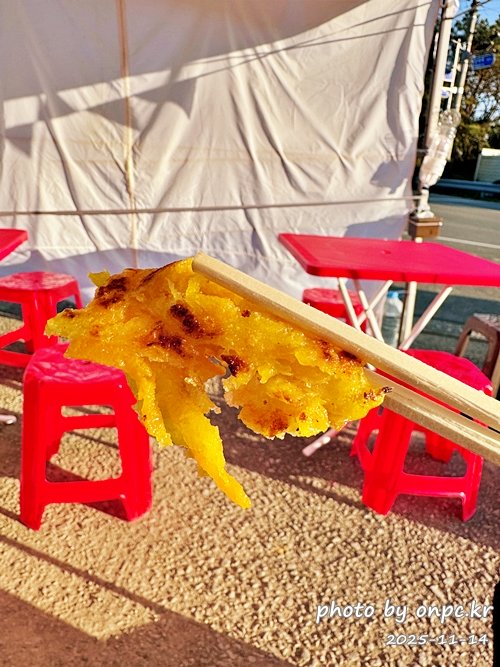 🍂 노랗게 물든 경주 도리마을 은행나무숲 나들이