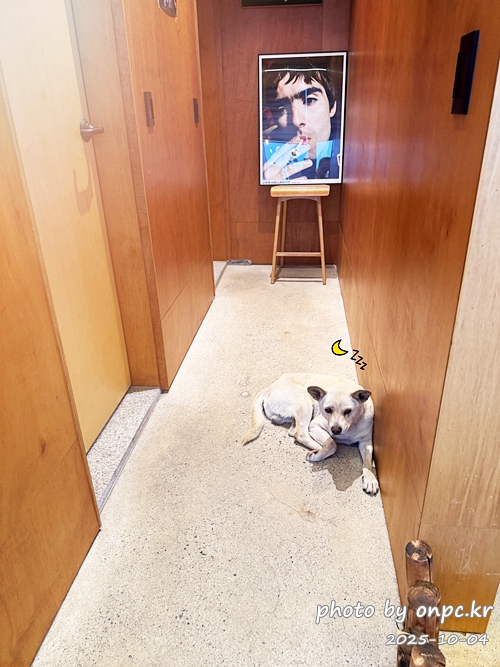 🥦 포항 브로콜리커피숍 후기 (모토사이클 스탬프투어 명소) 🛵 - 비가 추적추적 내리던 어느 날,포항 바닷가를 따라 드라이브를 하다가 초록 브로콜리 캐릭터가 귀엽게 반겨주는 작은 카페를 발견했어요! 🥦 포항 브로콜리커피숍 후기 (모토사이클 스탬프투어 명소) 🛵