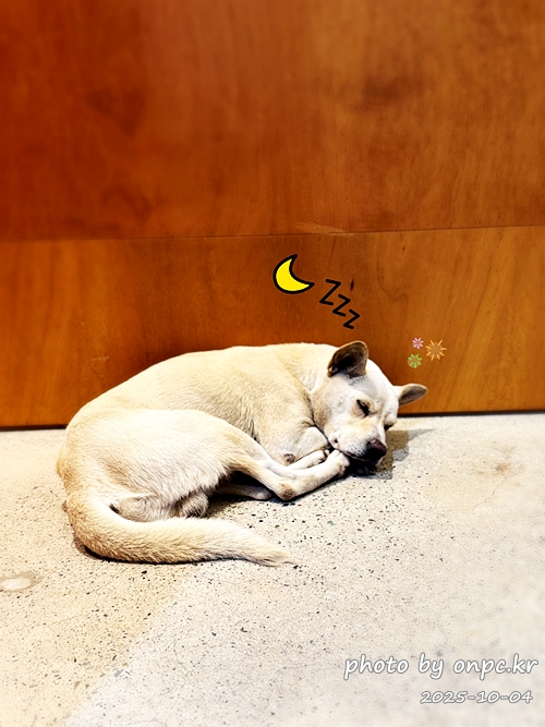 🥦 포항 브로콜리커피숍 후기 (모토사이클 스탬프투어 명소) 🛵 - 비가 추적추적 내리던 어느 날,포항 바닷가를 따라 드라이브를 하다가 초록 브로콜리 캐릭터가 귀엽게 반겨주는 작은 카페를 발견했어요! 🥦 포항 브로콜리커피숍 후기 (모토사이클 스탬프투어 명소) 🛵