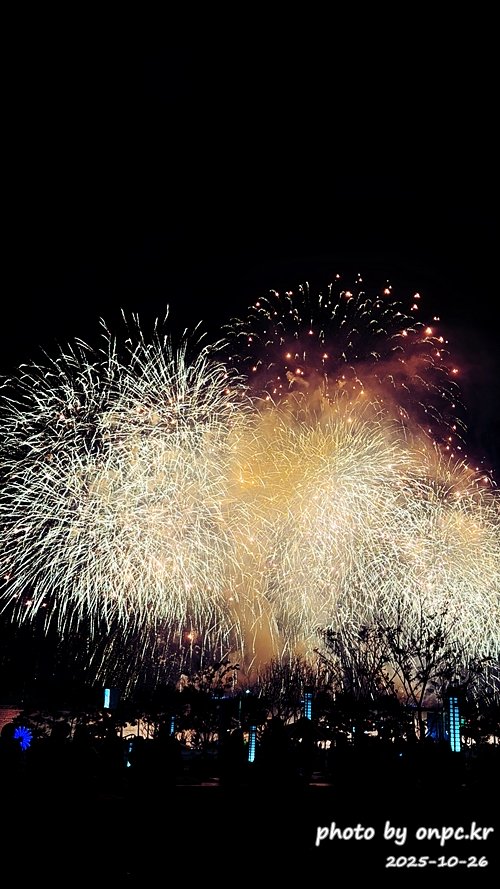 2025울산불꽃축제