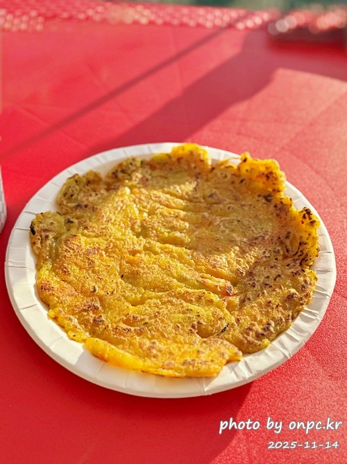 🍂 노랗게 물든 경주 도리마을 은행나무숲 나들이