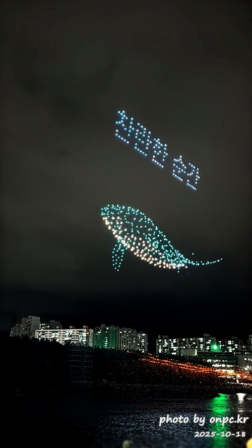 2025태화강낙화놀이 드론쇼