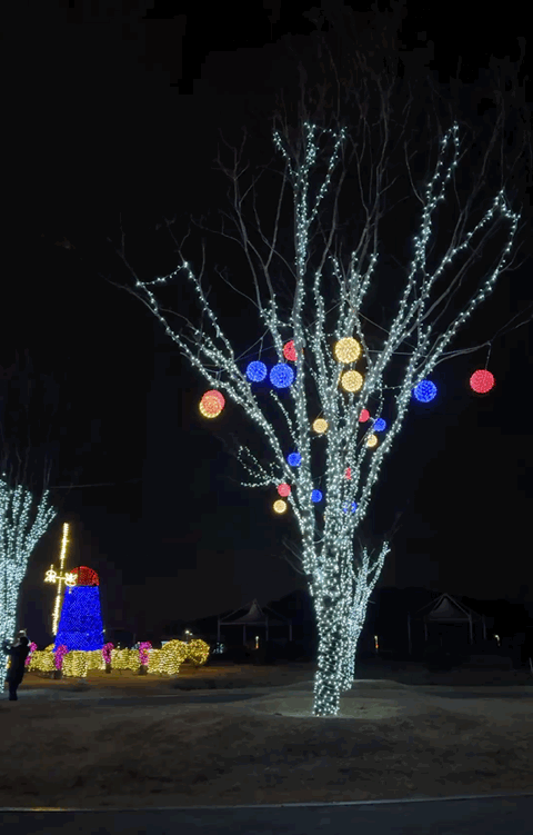 🌟 양산의 겨울밤을 수놓은 별빛 축제! 제3회 황산공원 불빛정원 ✨ (2025-2026) - 아름다운 야경에 더해 무료로 즐길 수 있다는 점까지, 겨울밤에 꼭 한 번은 들러볼 만한 장소로 강력 추천합니다.양산 황산공원 불빛정원에서 빛으로 가득한 겨울밤 추억 하나 남겨보세요 🌙✨ 양산 황산공원 불빛정원.GIF
