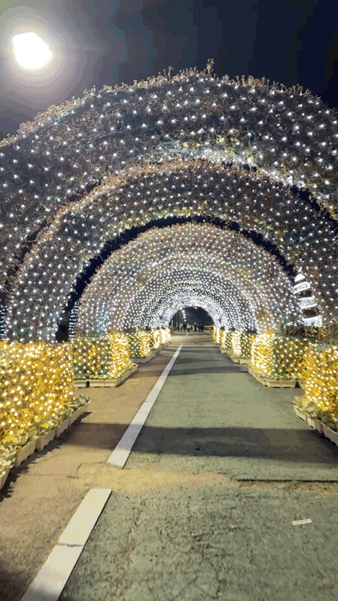 🌟 양산의 겨울밤을 수놓은 별빛 축제! 제3회 황산공원 불빛정원 ✨ (2025-2026) - 아름다운 야경에 더해 무료로 즐길 수 있다는 점까지, 겨울밤에 꼭 한 번은 들러볼 만한 장소로 강력 추천합니다.양산 황산공원 불빛정원에서 빛으로 가득한 겨울밤 추억 하나 남겨보세요 🌙✨ 양산 황산공원 불빛정원.GIF