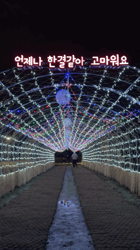🌟 양산의 겨울밤을 수놓은 별빛 축제! 제3회 황산공원 불빛정원 ✨ (2025-2026) - 아름다운 야경에 더해 무료로 즐길 수 있다는 점까지, 겨울밤에 꼭 한 번은 들러볼 만한 장소로 강력 추천합니다.양산 황산공원 불빛정원에서 빛으로 가득한 겨울밤 추억 하나 남겨보세요 🌙✨ 양산 황산공원 불빛정원.GIF