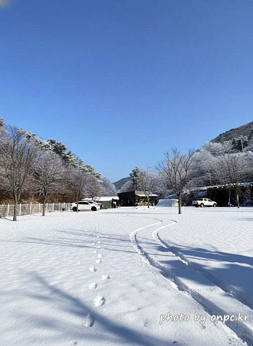 경주산내 하월오토캠핑장