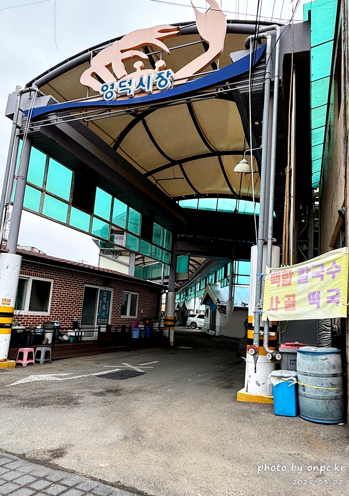 [영덕 맛집] 단돈 500원의 행복! 영덕시장 명물 '호호네호떡' 솔직 방문기