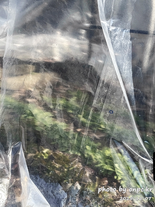 경주산내 하월오토캠핑장