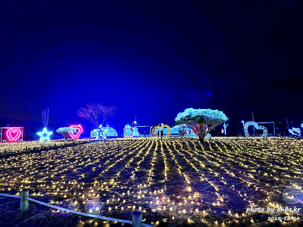 🌟 양산의 겨울밤을 수놓은 별빛 축제! 제3회 황산공원 불빛정원 ✨ (2025-2026) - 아름다운 야경에 더해 무료로 즐길 수 있다는 점까지, 겨울밤에 꼭 한 번은 들러볼 만한 장소로 강력 추천합니다.양산 황산공원 불빛정원에서 빛으로 가득한 겨울밤 추억 하나 남겨보세요 🌙✨ 양산 황산공원 불빛정원