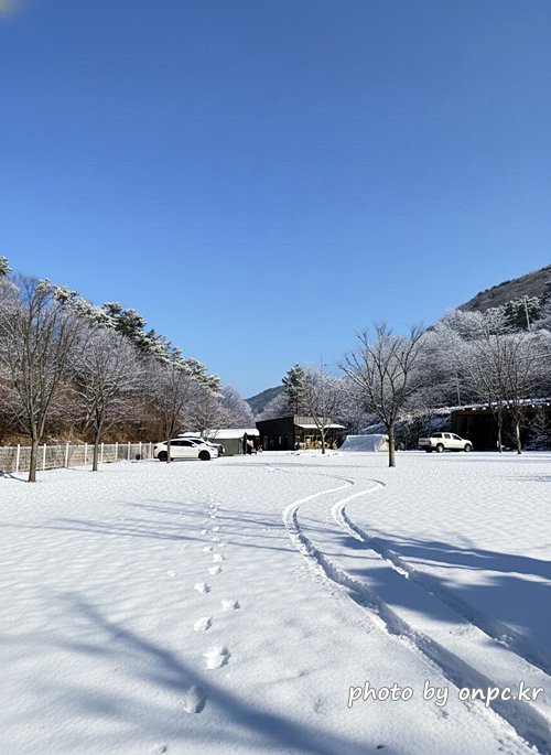 경주산내 하월오토캠핑장