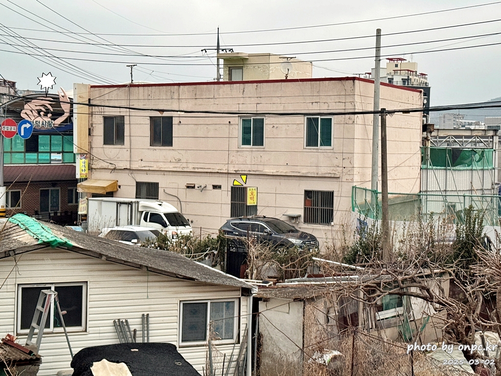 [영덕 맛집] 단돈 500원의 행복! 영덕시장 명물 '호호네호떡' 솔직 방문기