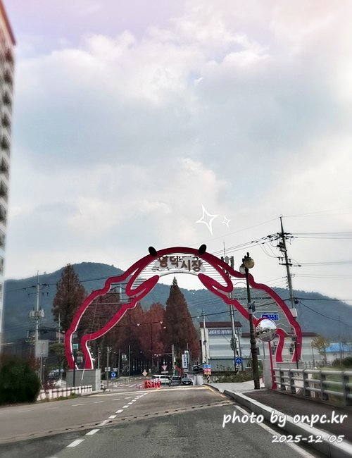 [영덕 맛집] 단돈 500원의 행복! 영덕시장 명물 '호호네호떡' 솔직 방문기