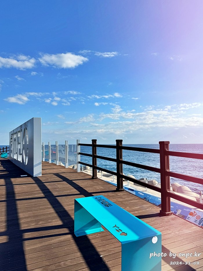 [영덕 맛집] 단돈 500원의 행복! 영덕시장 명물 '호호네호떡' 솔직 방문기