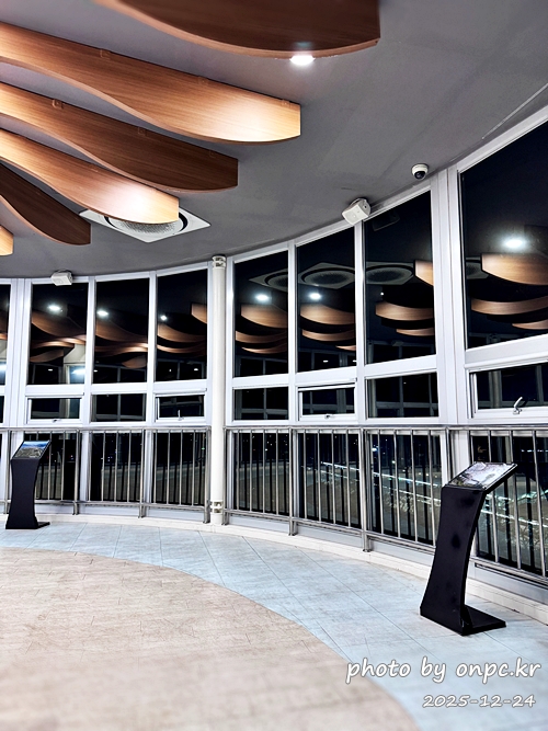 🌟 양산의 겨울밤을 수놓은 별빛 축제! 제3회 황산공원 불빛정원 ✨ (2025-2026)