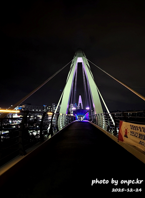 🌟 양산의 겨울밤을 수놓은 별빛 축제! 제3회 황산공원 불빛정원 ✨ (2025-2026)