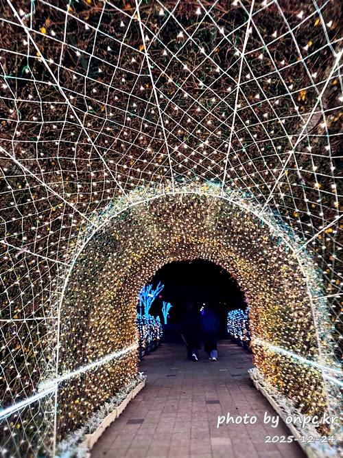 양산 황산공원 불빛정원