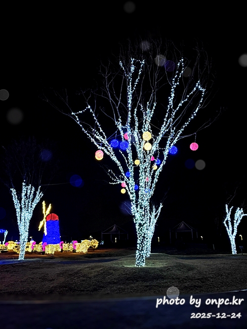 양산 황산공원 불빛정원