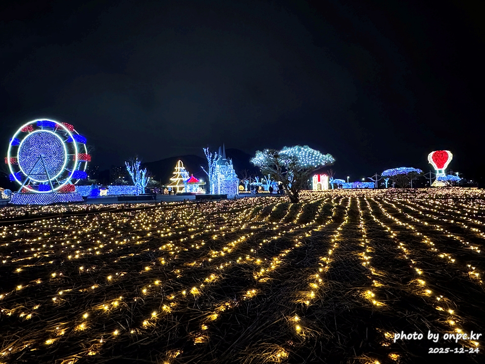양산 황산공원 불빛정원