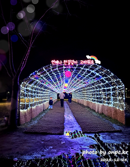 🌟 양산의 겨울밤을 수놓은 별빛 축제! 제3회 황산공원 불빛정원 ✨ (2025-2026)