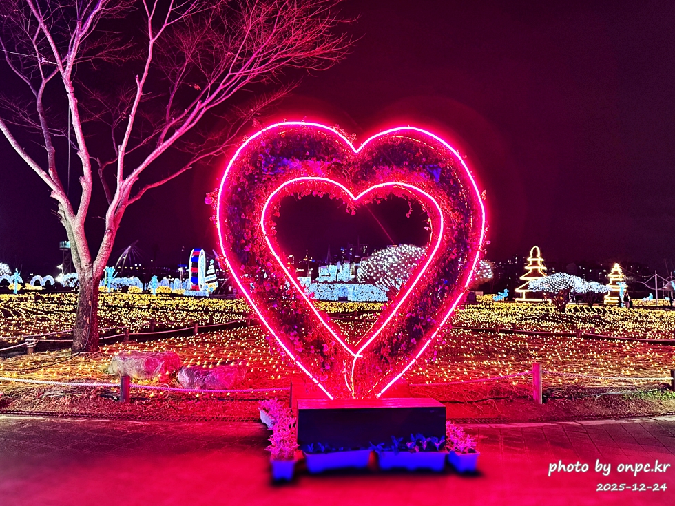 양산 황산공원 불빛정원