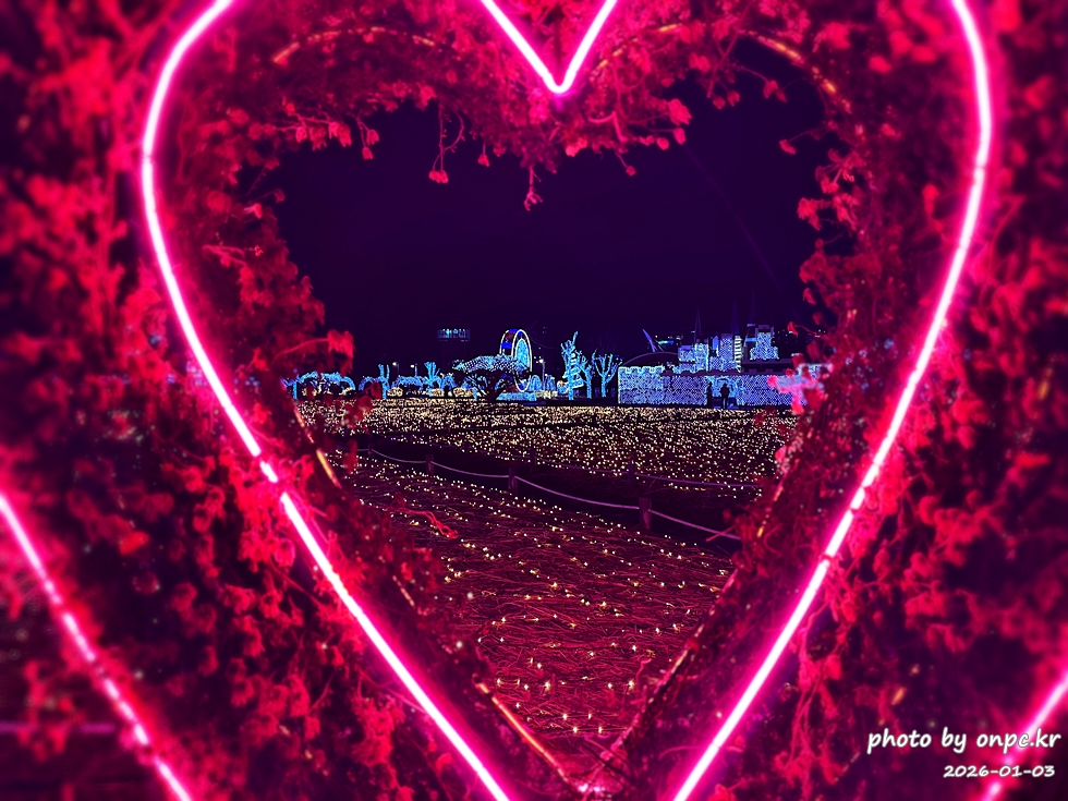 양산 황산공원 불빛정원