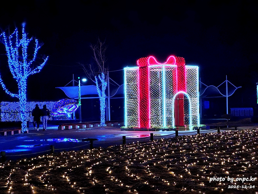 양산 황산공원 불빛정원
