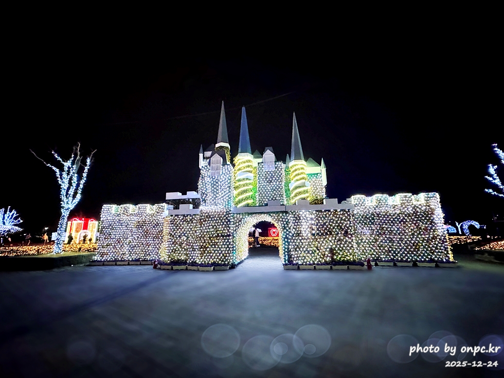 🌟 양산의 겨울밤을 수놓은 별빛 축제! 제3회 황산공원 불빛정원 ✨ (2025-2026)