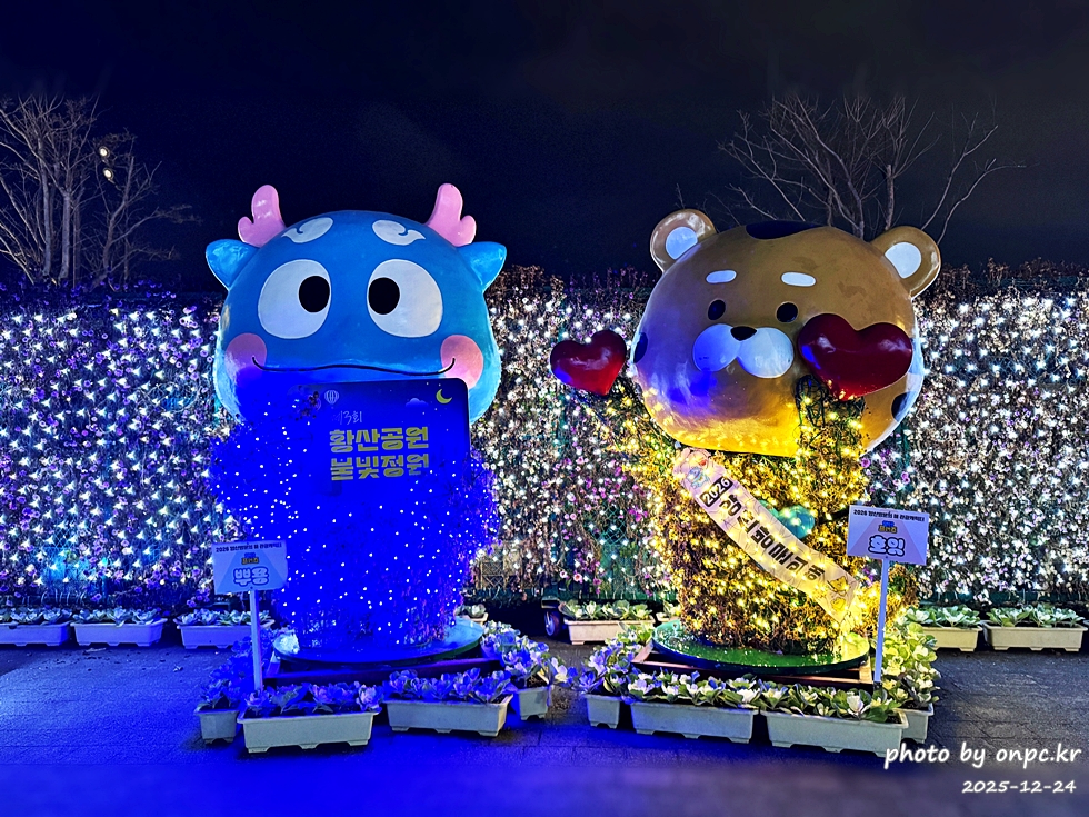 🌟 양산의 겨울밤을 수놓은 별빛 축제! 제3회 황산공원 불빛정원 ✨ (2025-2026)
