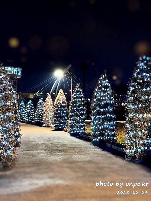 🌟 양산의 겨울밤을 수놓은 별빛 축제! 제3회 황산공원 불빛정원 ✨ (2025-2026)