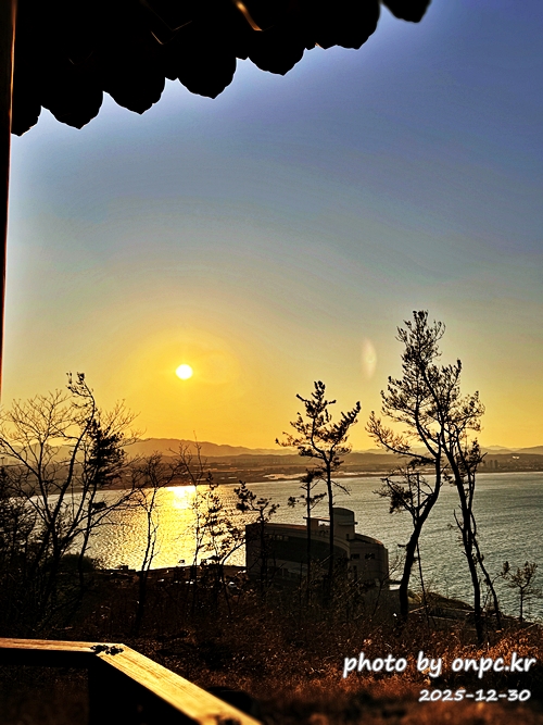 [포항 여행] 연오랑세오녀 테마공원 산책 코스 완벽 정리!🌊✨노을 맛집을 찾아서!