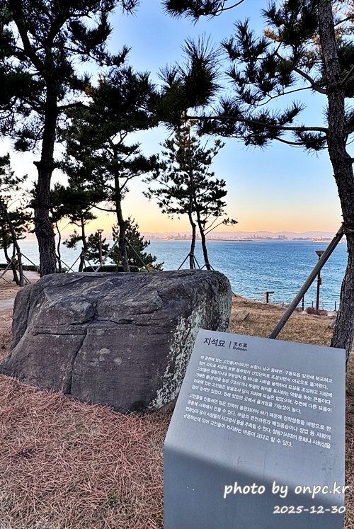 [포항 여행] 연오랑세오녀 테마공원 산책 코스 완벽 정리!🌊✨노을 맛집을 찾아서!