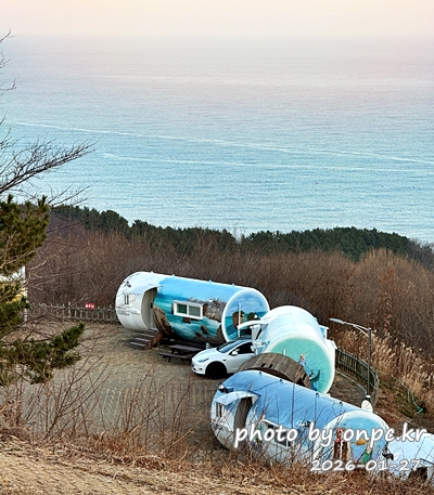 🐟 겨울 별미의 본고장! 포항 구룡포 과메기 덕장 방문기 (feat. 주상절리, 삼정리 해변)