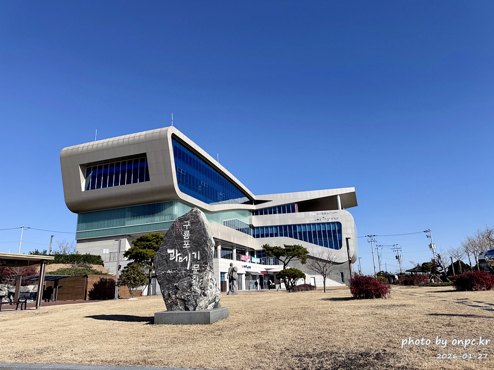 🐟 겨울 별미의 본고장! 포항 구룡포 과메기 덕장 방문기 (feat. 주상절리, 삼정리 해변)