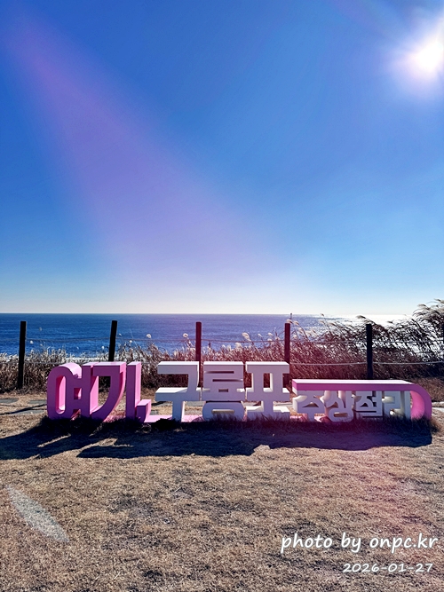 🐟 겨울 별미의 본고장! 포항 구룡포 과메기 덕장 방문기 (feat. 주상절리, 삼정리 해변)