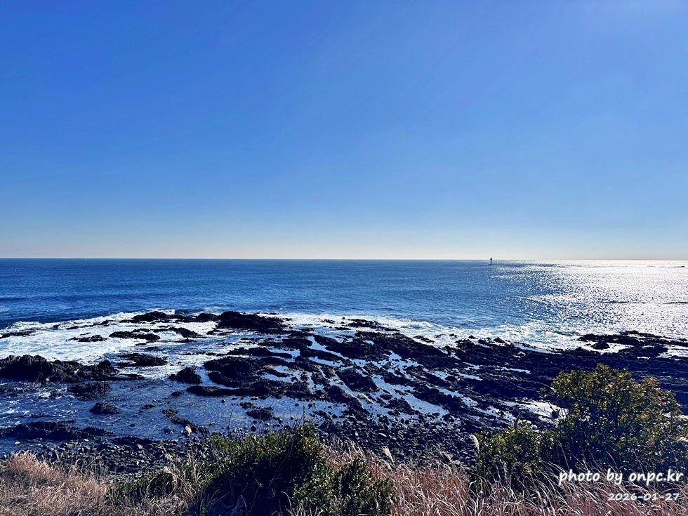 🐟 겨울 별미의 본고장! 포항 구룡포 과메기 덕장 방문기 (feat. 주상절리, 삼정리 해변)