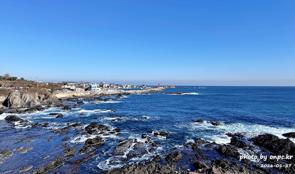 🐟 겨울 별미의 본고장! 포항 구룡포 과메기 덕장 방문기 (feat. 주상절리, 삼정리 해변)