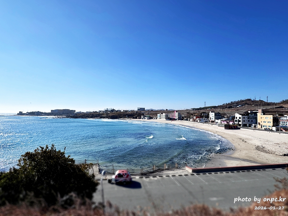 🐟 겨울 별미의 본고장! 포항 구룡포 과메기 덕장 방문기 (feat. 주상절리, 삼정리 해변)
