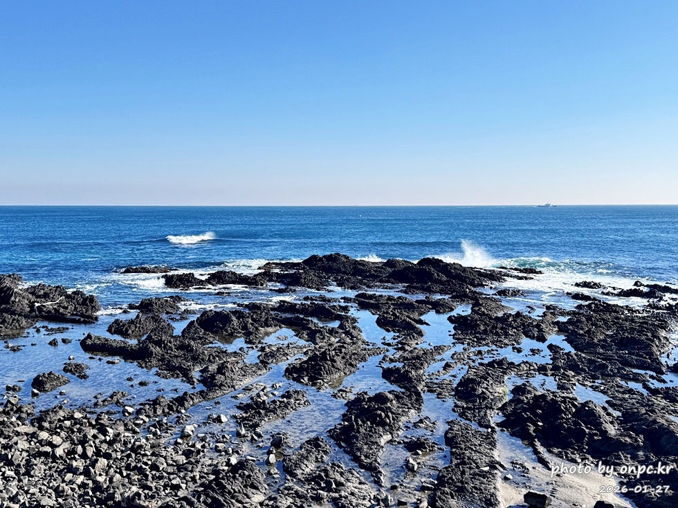 🐟 겨울 별미의 본고장! 포항 구룡포 과메기 덕장 방문기 (feat. 주상절리, 삼정리 해변)