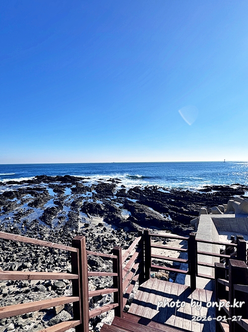 🐟 겨울 별미의 본고장! 포항 구룡포 과메기 덕장 방문기 (feat. 주상절리, 삼정리 해변)