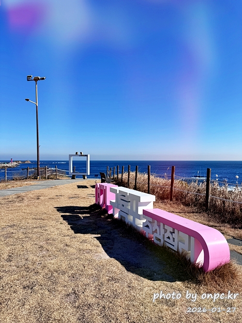🐟 겨울 별미의 본고장! 포항 구룡포 과메기 덕장 방문기 (feat. 주상절리, 삼정리 해변)
