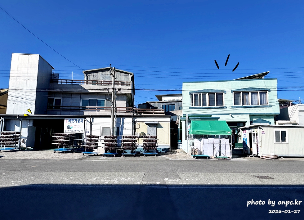 🐟 겨울 별미의 본고장! 포항 구룡포 과메기 덕장 방문기 (feat. 주상절리, 삼정리 해변)
