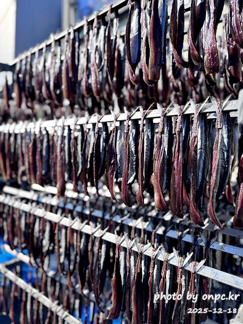 포항 구룡포과메기덕장