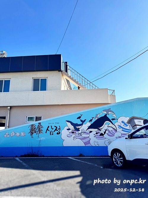 🐟 겨울 별미의 본고장! 포항 구룡포 과메기 덕장 방문기 (feat. 주상절리, 삼정리 해변)