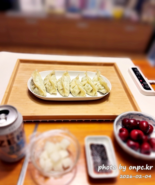 [알리] 겨울 식탁 필수템! 음식데우기 매트(푸드워머) 솔직 사용기(삶의 질 상승템) 🥘✨