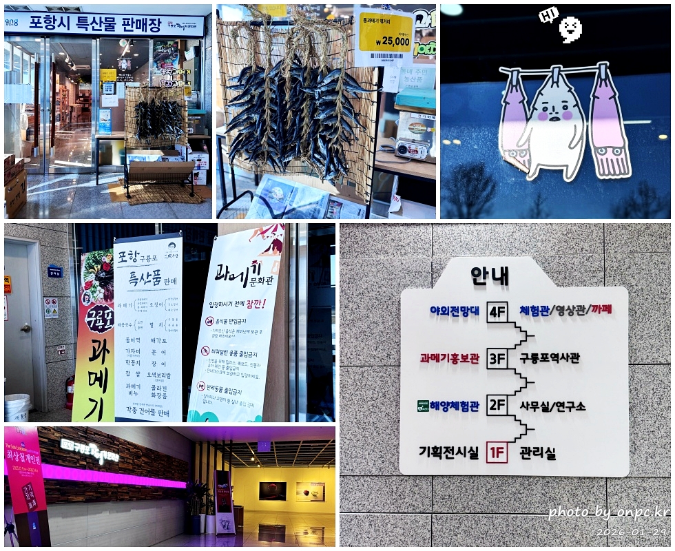 🐟 겨울 별미의 본고장! 포항 구룡포 과메기 덕장 방문기 (feat. 주상절리, 삼정리 해변)