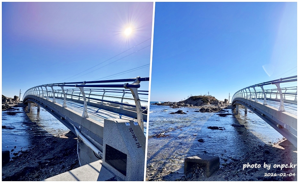 🐟 겨울 별미의 본고장! 포항 구룡포 과메기 덕장 방문기 (feat. 주상절리, 삼정리 해변)
