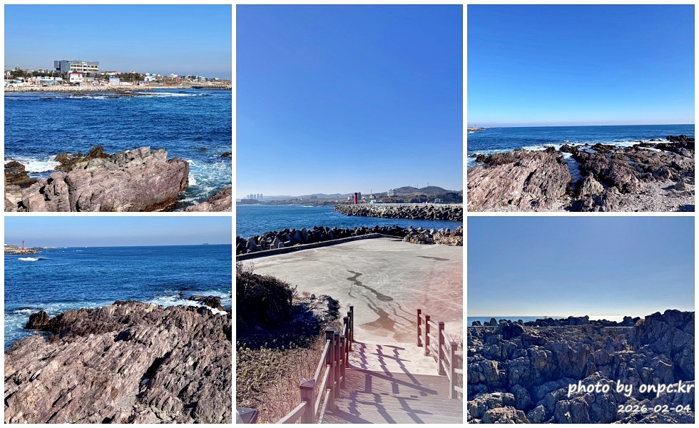 🐟 겨울 별미의 본고장! 포항 구룡포 과메기 덕장 방문기 (feat. 주상절리, 삼정리 해변)