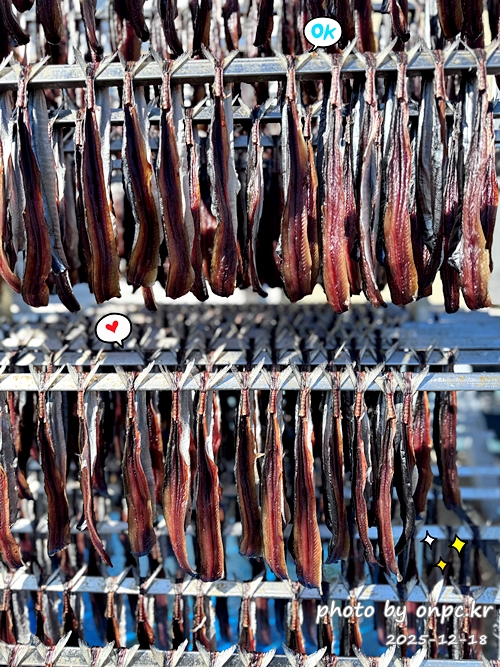 🐟 겨울 별미의 본고장! 포항 구룡포 과메기 덕장 방문기 (feat. 주상절리, 삼정리 해변) - 겨울 찬바람이 불기 시작하면 매년 연례행사처럼 꼭 찾아가는 곳이 있습니다.바로 포항 구룡포! 이유는 단 하나, 과메기 때문이죠 😋제철 맞은 과메기를 만나러 다녀왔습니다. 🌊 🐟 겨울 별미의 본고장! 포항 구룡포 과메기 덕장 방문기 (feat. 주상절리, 삼정리 해변)